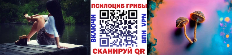 Галлюциногенные грибы Cubensis  Купить  Омск 